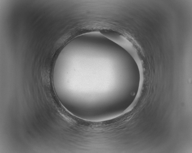 X0000082950489200702152244