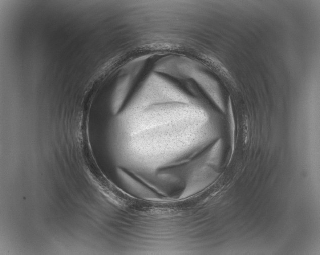 X0000082950490200702152244