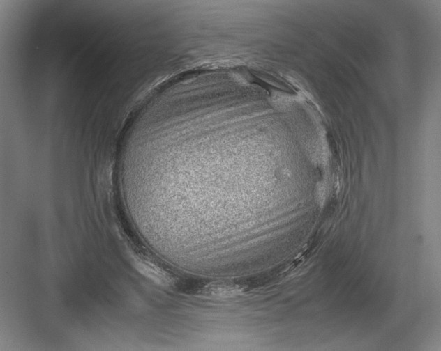 X0000082950491200702152244