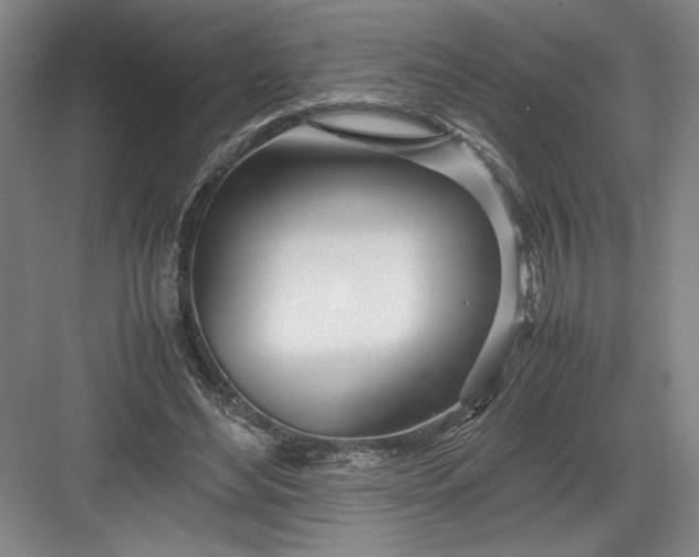 X0000082950492200702152244