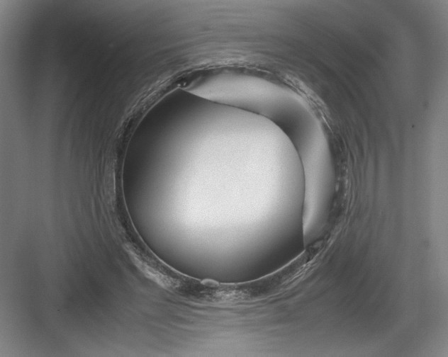 X0000082950493200702152244