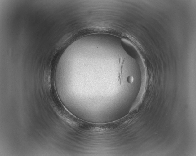 X0000082950494200702152244