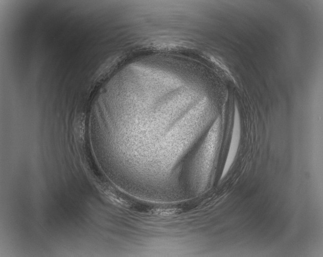 X0000082950495200702152243