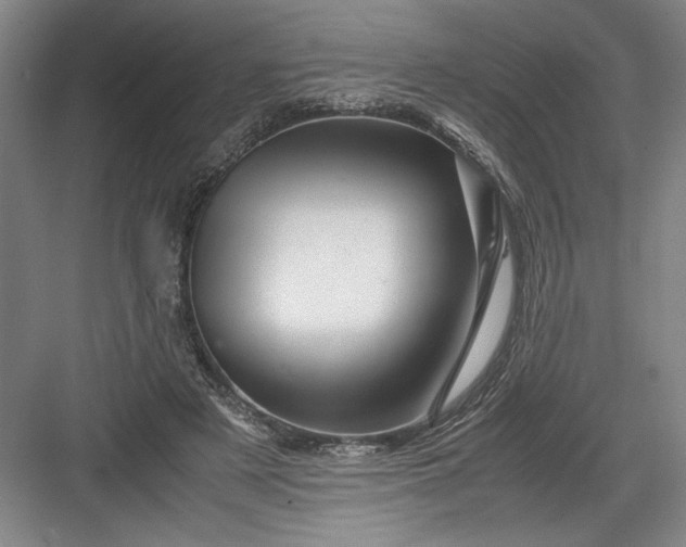 X0000082950497200702152243