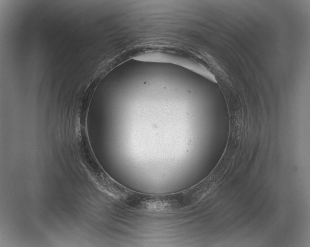 X0000082950500200702152243