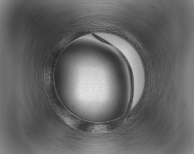 X0000082950501200702152243