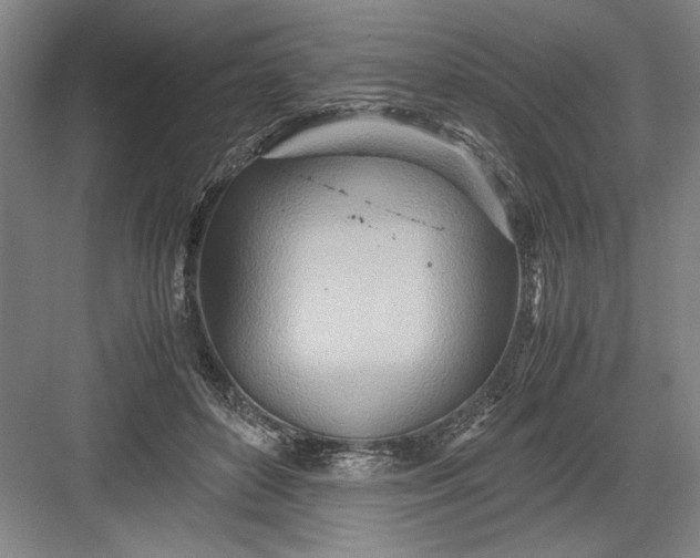 X0000082950504200702152243