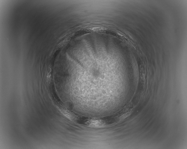 X0000082950507200702152243