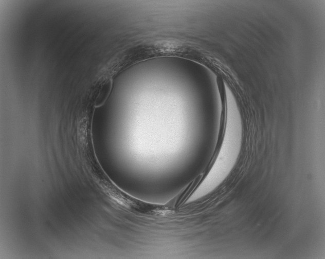 X0000082950509200702152243