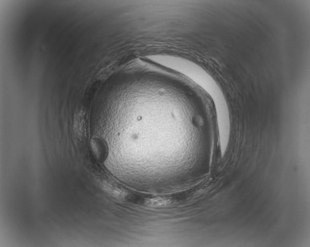 X0000082950511200702152243