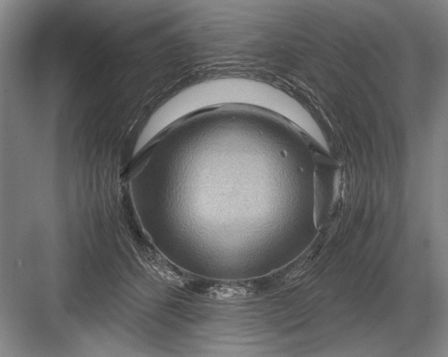 X0000082950512200702152243