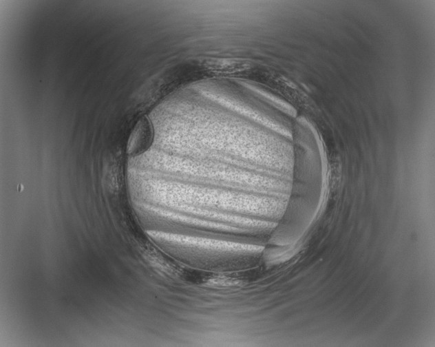 X0000082950515200702152243