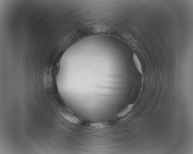 X0000082950516200702152243