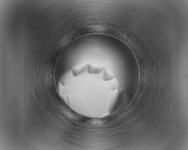 X0000082950518200702152243