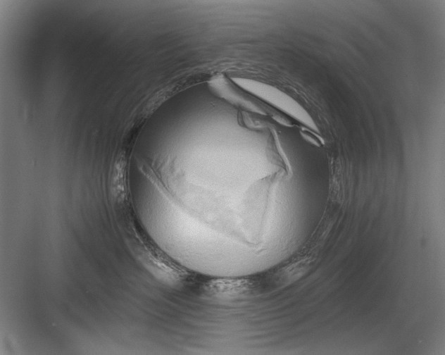 X0000082950526200702152243