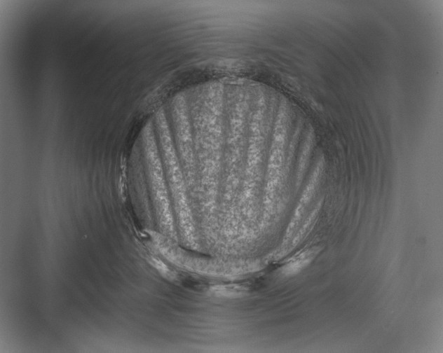 X0000082950528200702152243