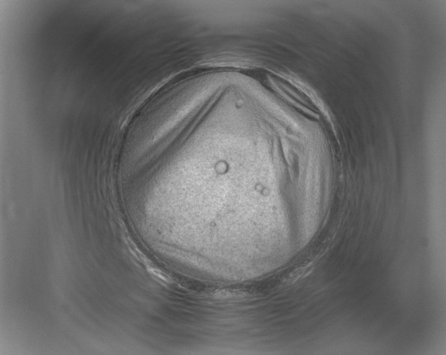 X0000082950529200702152242