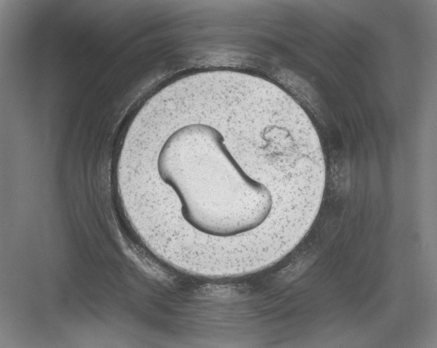 X0000082950534200702152242