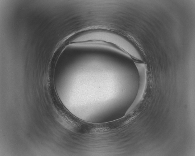 X0000082950536200702152242