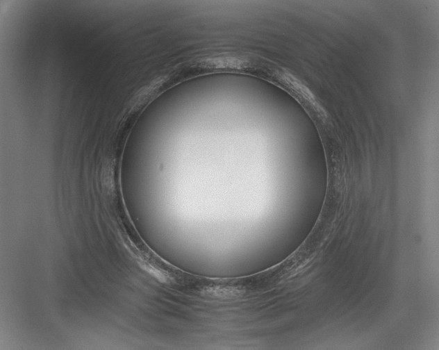 X0000082950537200702152242