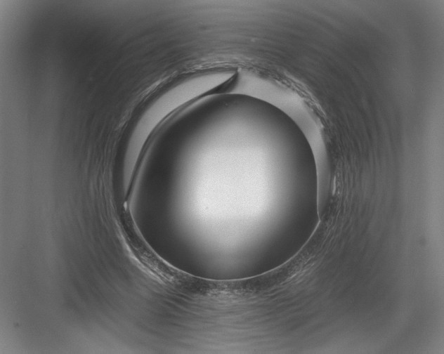 X0000082950538200702152242