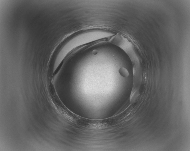 X0000082950540200702152242