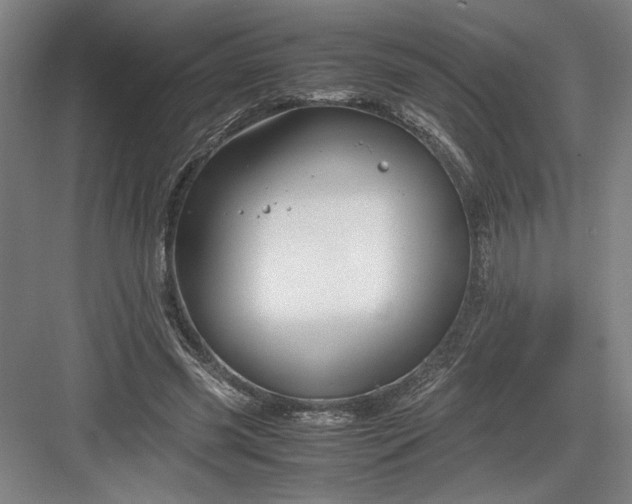 X0000082950541200702152242