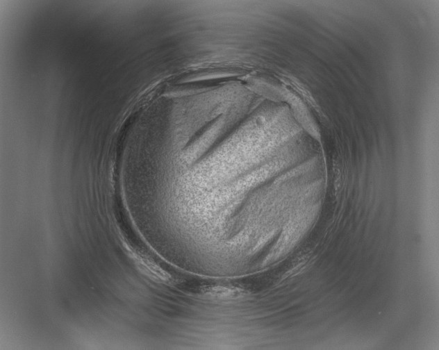 X0000082950542200702152242