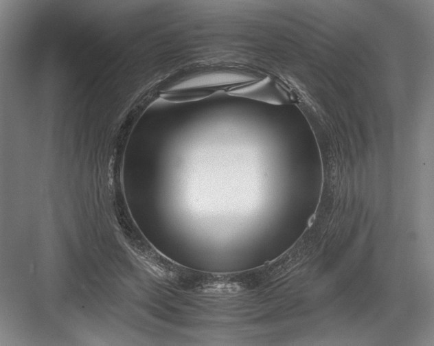 X0000082950543200702152242