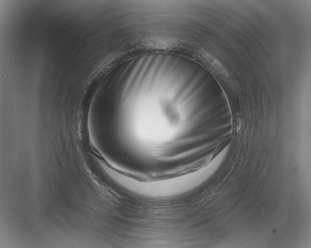 X0000082950544200702152242