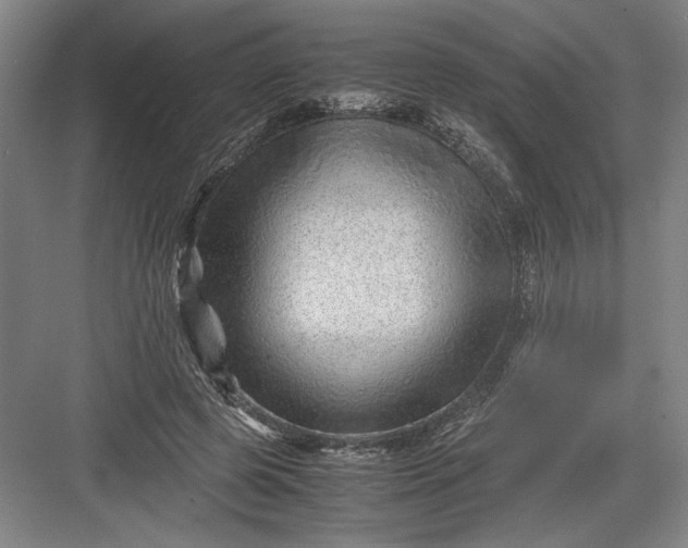 X0000082950545200702152242