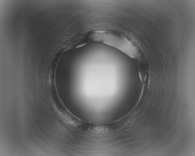 X0000082950546200702152242