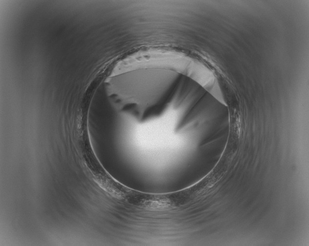 X0000082950548200702152242