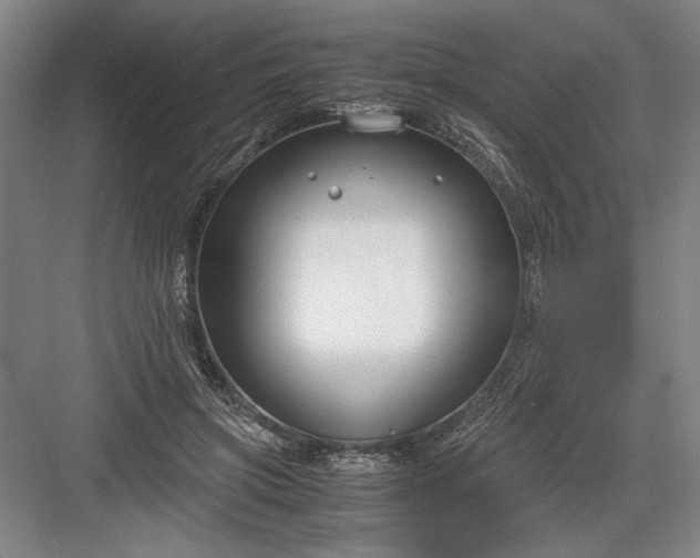 X0000082950549200702152242