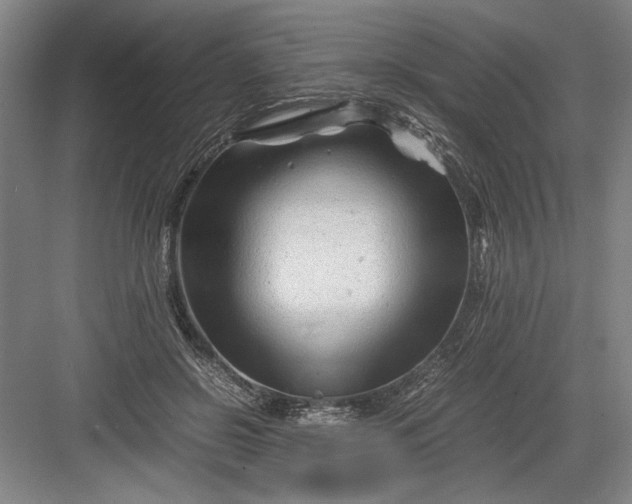 X0000082950550200702152242