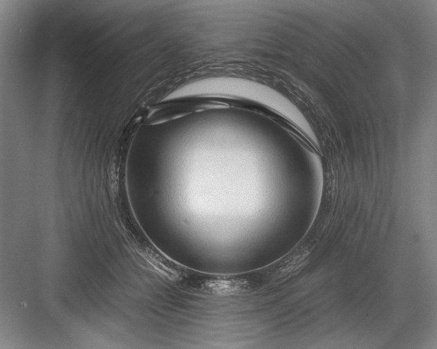 X0000082950558200702152243