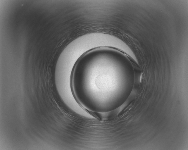 X0000082950560200702152243