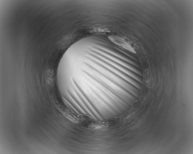 X0000082950563200702152243