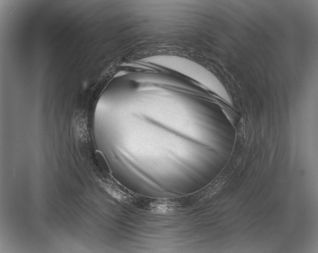 X0000082950564200702152243