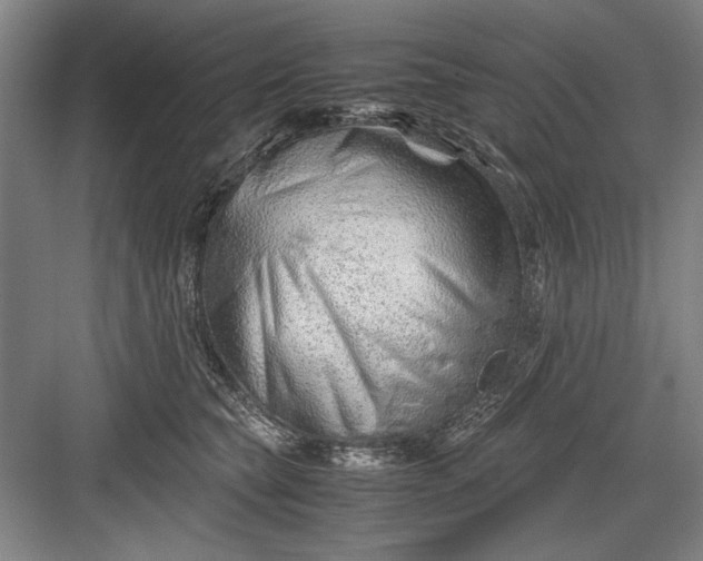 X0000082950565200702152243