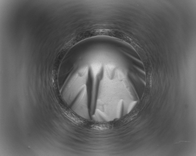 X0000082950567200702152243