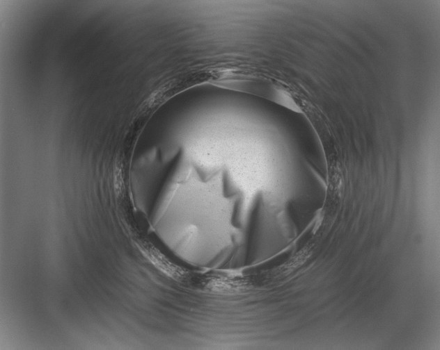 X0000082950568200702152243