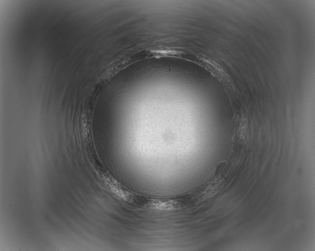 X0000082950569200702152243