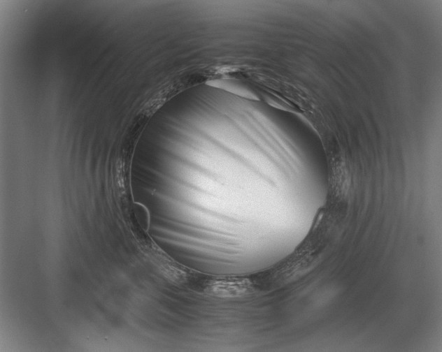 X0000082950571200702152243