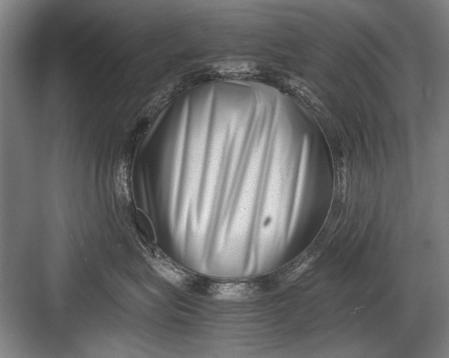 X0000082950575200702152243