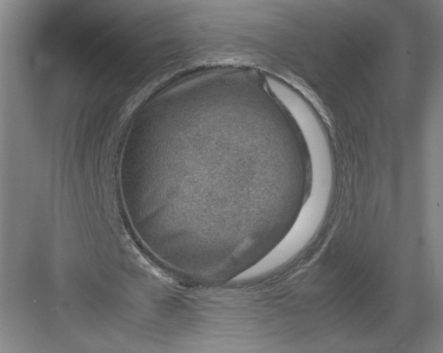 X0000082950577200702152242