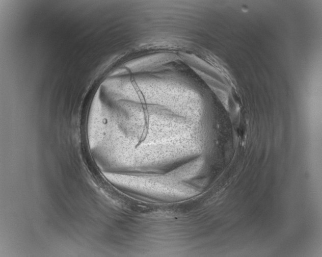 X0000082950578200702152242