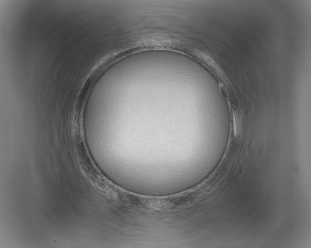 X0000082950579200702152242