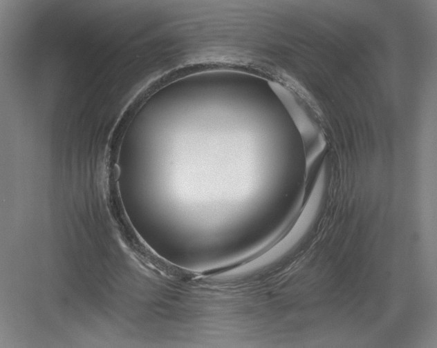 X0000082950580200702152242