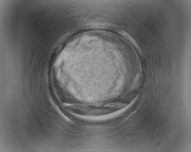 X0000082950581200702152242